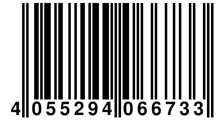 4 055294 066733