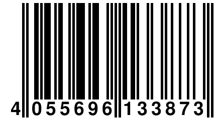 4 055696 133873