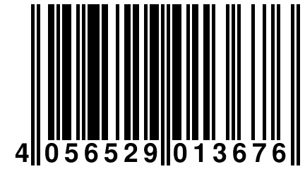 4 056529 013676