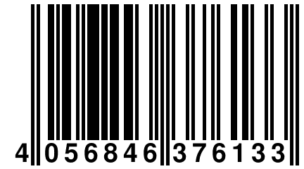 4 056846 376133