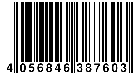 4 056846 387603