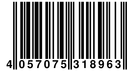 4 057075 318963