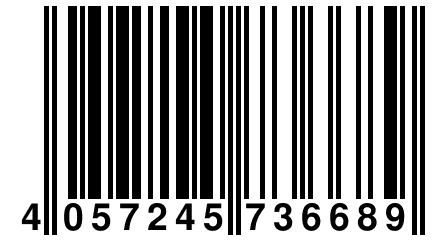 4 057245 736689