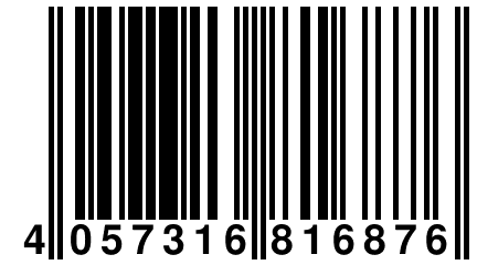 4 057316 816876