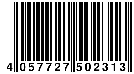 4 057727 502313
