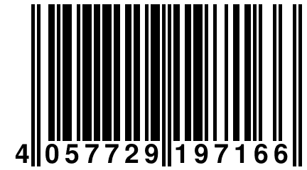 4 057729 197166