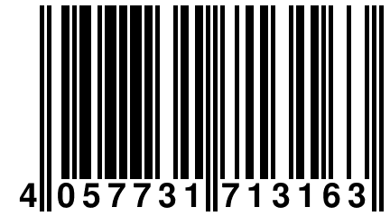 4 057731 713163