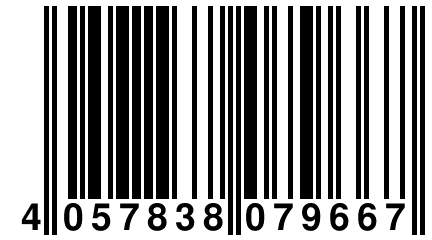 4 057838 079667