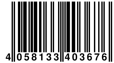 4 058133 403676