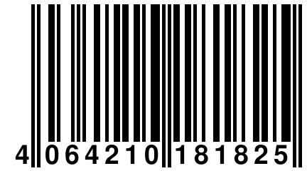 4 064210 181825