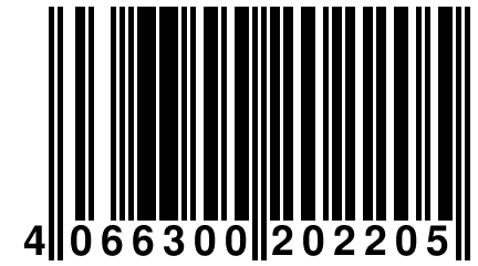 4 066300 202205