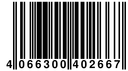 4 066300 402667
