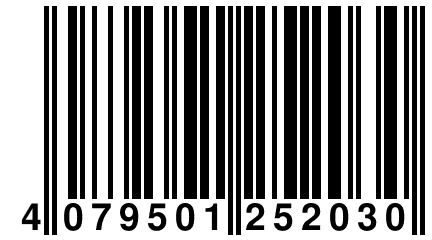 4 079501 252030