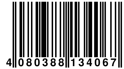 4 080388 134067