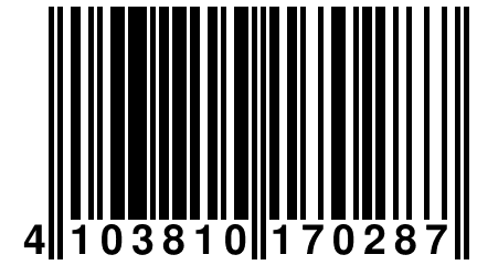 4 103810 170287