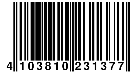 4 103810 231377