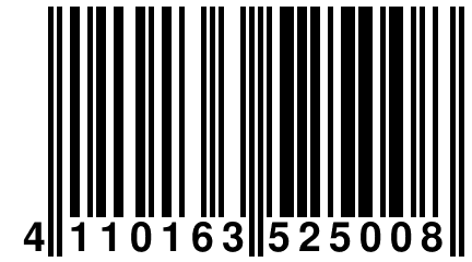 4 110163 525008
