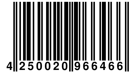 4 250020 966466