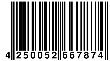 4 250052 667874