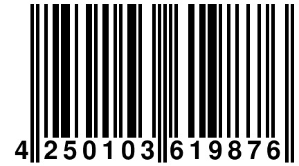 4 250103 619876