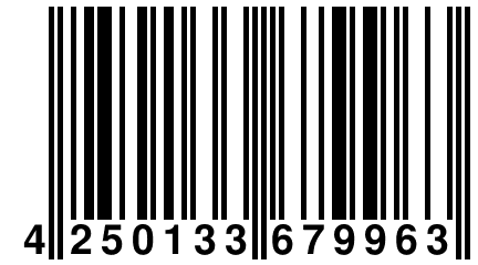 4 250133 679963