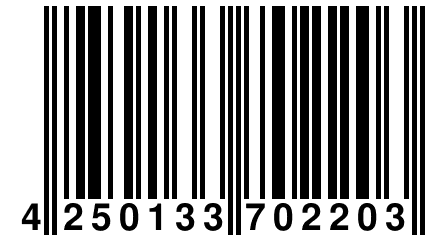 4 250133 702203