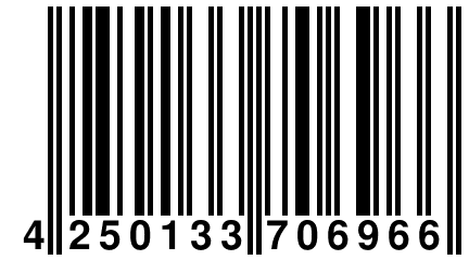 4 250133 706966