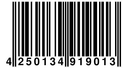 4 250134 919013