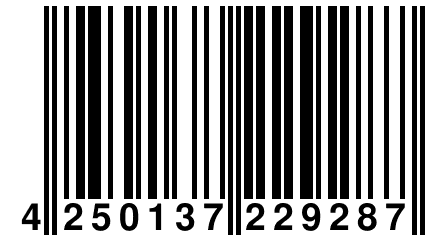 4 250137 229287