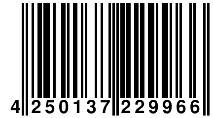 4 250137 229966