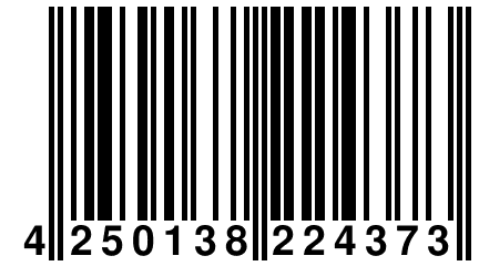 4 250138 224373