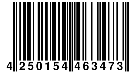 4 250154 463473
