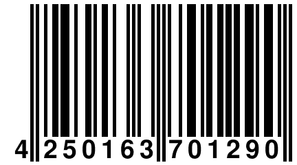 4 250163 701290