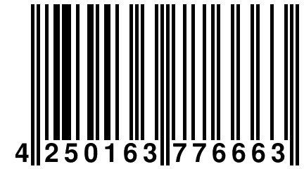 4 250163 776663