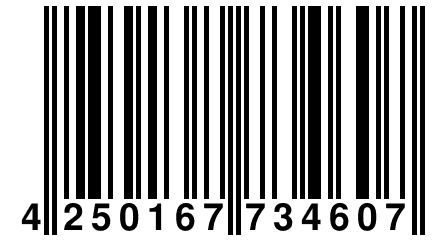 4 250167 734607