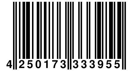 4 250173 333955