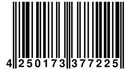 4 250173 377225