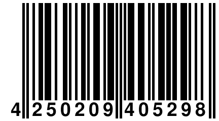 4 250209 405298