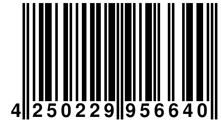 4 250229 956640