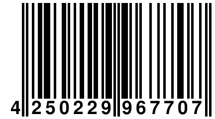4 250229 967707