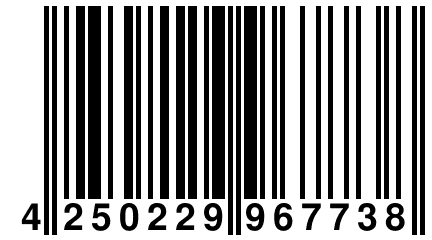 4 250229 967738