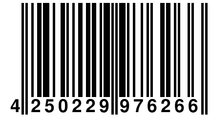 4 250229 976266