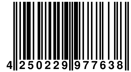 4 250229 977638