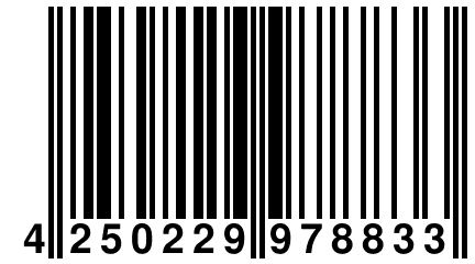 4 250229 978833