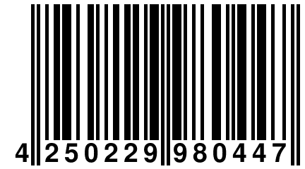 4 250229 980447