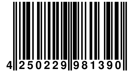 4 250229 981390