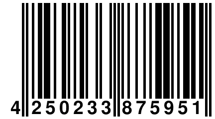 4 250233 875951