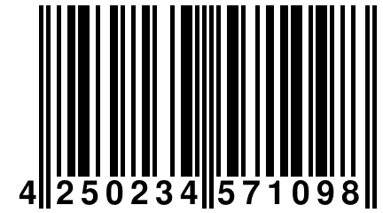 4 250234 571098