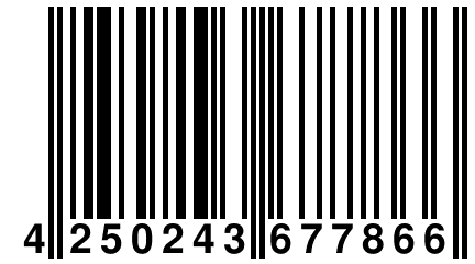 4 250243 677866