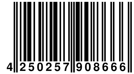 4 250257 908666